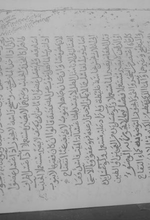 مخطوطة - عمدة المفتي