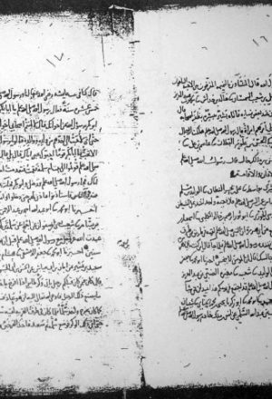 مخطوطة - عوالي الأنصاري ، وفوائد ابن ماسي البزاز (17278)