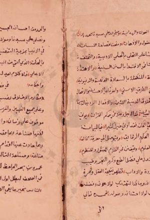 مخطوطة - عين الادب والسياسة وزين الحسب والرئاسة   333960