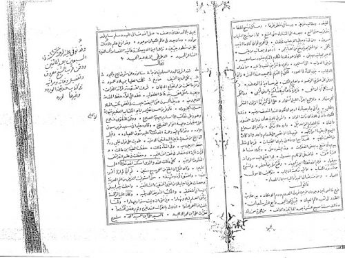 مخطوطة - غرائب الاغتراب و نزهة الألباب-ندوة العلماء بالهند رقم 21