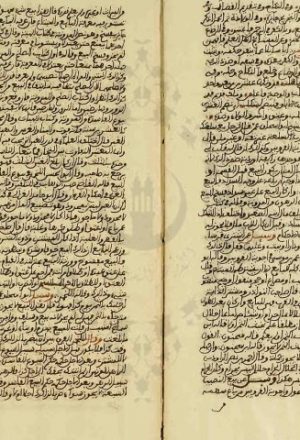 مخطوطة - فتاوى التونسى المالكي