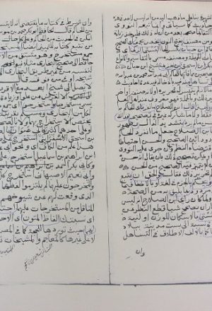 مخطوطة - فتح الباقي للإمام زكريا الأنصاري