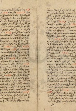 مخطوطة - فتح الرحمن بكشف ما يلتبس فى القرآن لزكرياء الانصاري