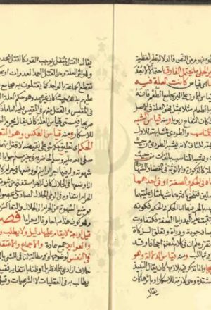 مخطوطة - فتح الرحمن شرح لقطة العجلان وبلة الظمآن للشيخ زكرياء الانصاري