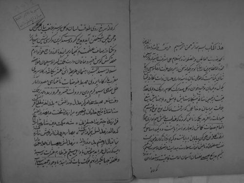 مخطوطة - فرس نامة باللغة الفارسية في الطب