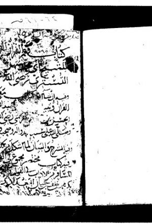 مخطوطة - فهم القرآن - سهل التستري-fahm-fahm