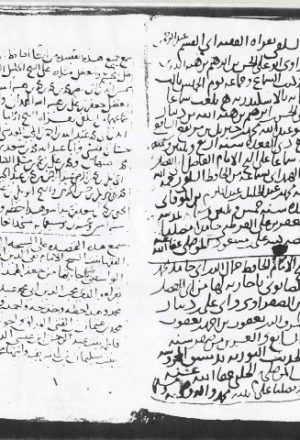 مخطوطة - قصيدة في السنة - أبو طاهر السلفي
