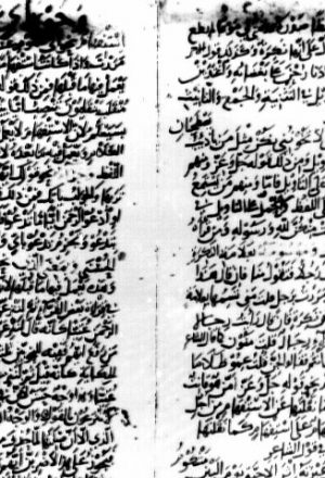 مخطوطة - كتاب الحروف  أبو حاتم السجستاني