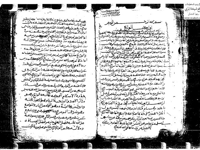 مخطوطة - كتاب الورع - ابن ابي الدنيا