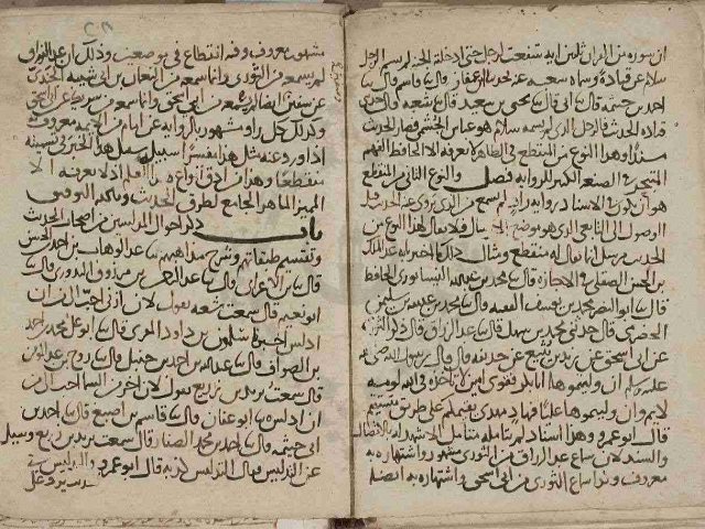 مخطوطة - كتاب فى الحديث  --318226