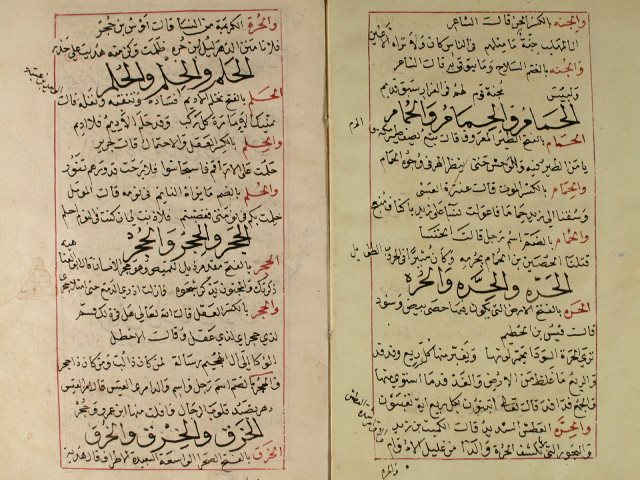 مخطوطة - كتاب في اللغة والبلاغة