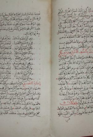 مخطوطة - كشف الاسرار عن حكم الطيور والأزهار لابن عبد السلام الرقم 108