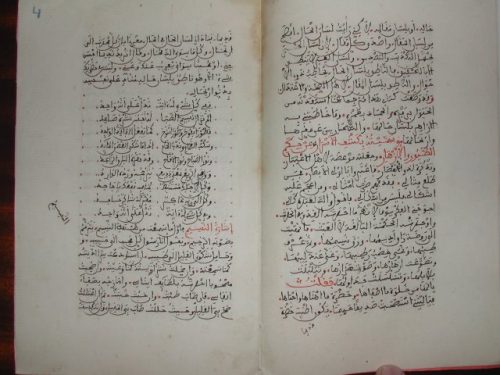 مخطوطة - كشف الاسرار عن حكم الطيور والأزهار لابن عبد السلام الرقم 108