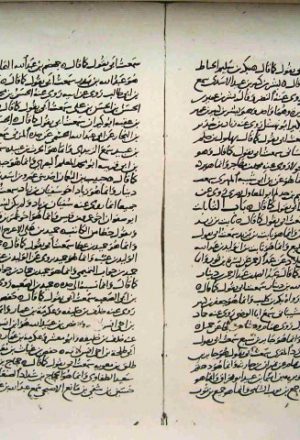مخطوطة - بيان أخطاء البخــــاري في تاريخه