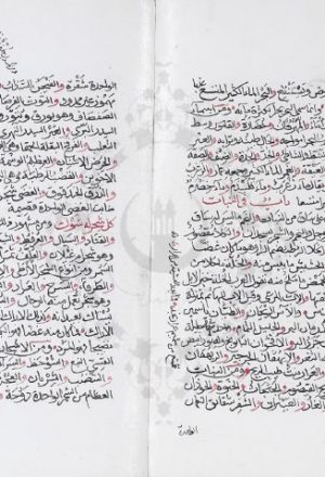 مخطوطة - كفاية المتحفظ لابن الاجدابي
