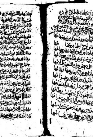 مخطوطة - م4305ديوان أحمد بن حاتم