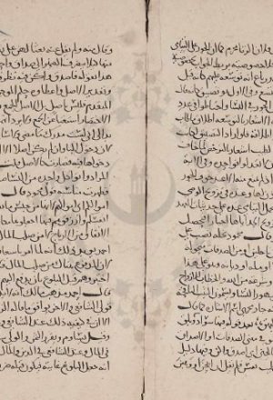 مخطوطة - مختصر الانتصاف لابن هشام النحوي
