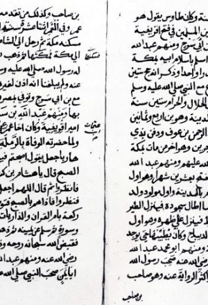 مخطوطة - مختصر رياض النفوس في طبقات علماء مدينة القيرواني للمالكي