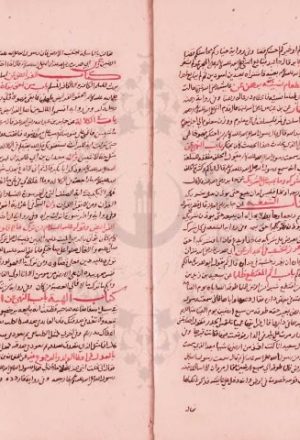 مخطوطة - مختصر صحيح مسلم للنووي