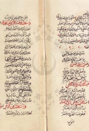 مخطوطة - مخطوط استغاثات للشيخ محمد عبد الحليم