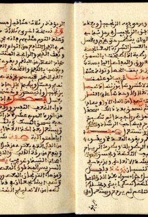 مخطوطة - مخطوطات طبية من حافظ ثناء الله-رسالة في الأدوية والوصفات الطبية - لم يعرف - 140-80 (6)