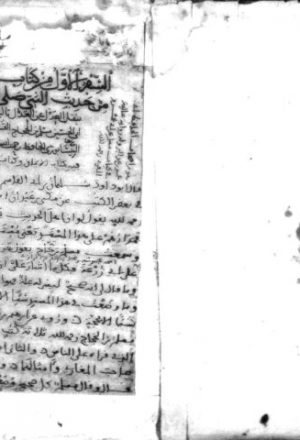 مخطوطة - مسلم-مجلد جديد