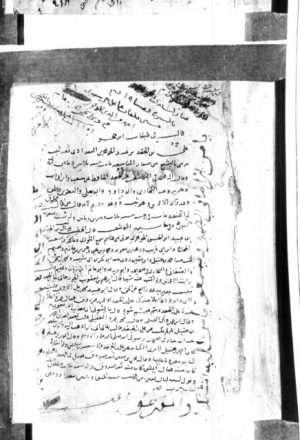 مخطوطة - مسند ابن الجعد-مجلد جديد (2)