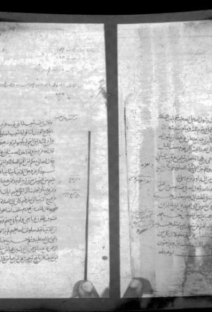 مخطوطة - مسند المروزى