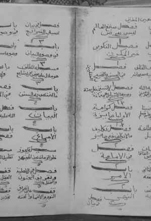 مخطوطة - معين المفتي علي جواب المستفتي للتمرتاشي
