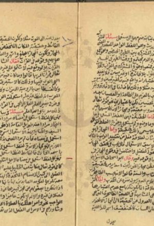 مخطوطة - منهاج البيضاوي 309398