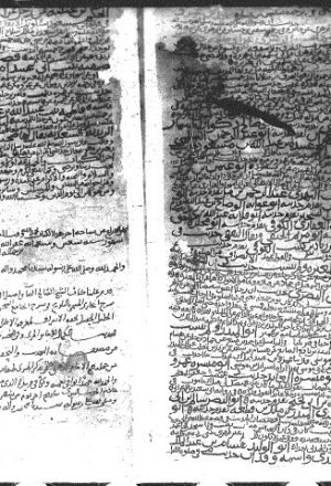 مخطوطة - تحفة الأشراف للمزي نسخة المتوكلية بصنعاء اليمن23حديث