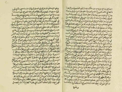 مخطوطة - نصرة القبض والرد على من انكر مشروعيته فى صلاة الفرض للمسناوي المالكي