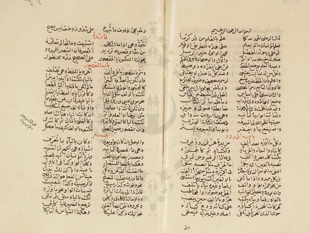 مخطوطة - نظم اللآلئ المبدعة في صفة الكتابة المخترعة