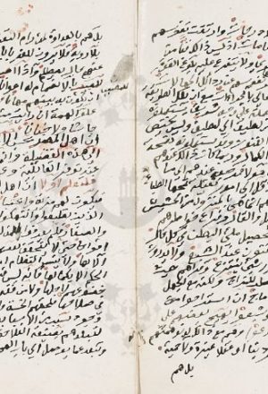 مخطوطة - نهاية القصر والحصر في طباع أهل مصر