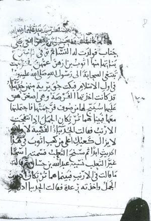 مخطوطة - طوالات الأخبار لابي موسى المديني
