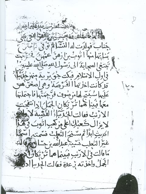 مخطوطة - طوالات الأخبار لابي موسى المديني