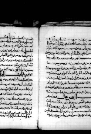 مخطوطة - مكرر وبه تتمة تاريخ علماء أهل مصر لابن الطحان 116-2