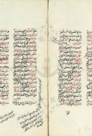 مخطوطة - الفية العراقي في غريب القران
