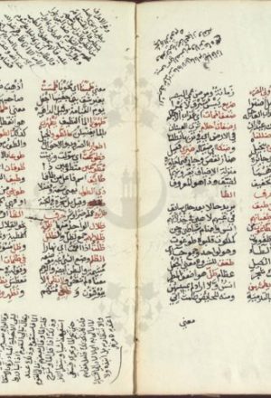 مخطوطة - ألفية غريب القران للعراقي - نسختان-ألفية غريب القران للعراقي نسخة 2
