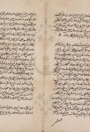مخطوطة - المحرر الوجيز في تفسير الكتاب العزيز لابن عطية الأندلسي