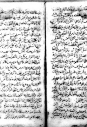 مخطوطة - أمثال القرآن للماوردي