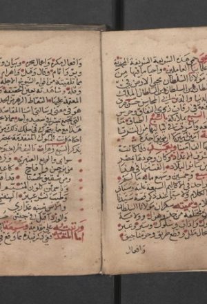 مخطوطة - سكردان السلطان الملك الناصر - ابن أبي حجلة التلمساني