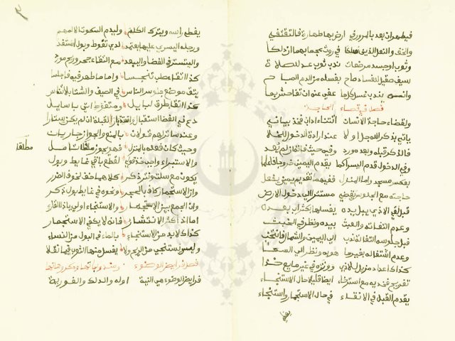 مخطوطة - الضوء المنير المقتبس في الفقه المالكي للفطيس المالكي