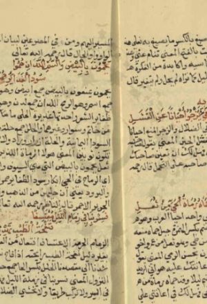 مخطوطة - شرح البدراني على لامية العجم
