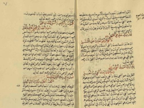 مخطوطة - شرح البدراني على لامية العجم