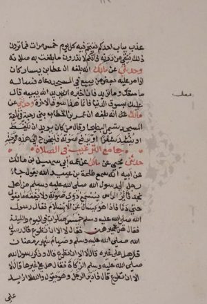 مخطوطة - موطأ الإمام مالك – نسخة 4
