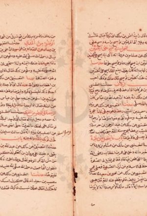 مخطوطة - موطأ الإمام مالك بن أنس - نسخة 01