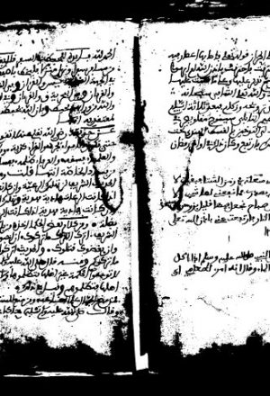 مخطوطة - تونس ـ دار الكتب الوطنية ـ 18556