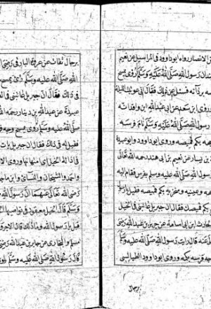 مخطوطة - رسالة فى سياسة الخيل للشامى