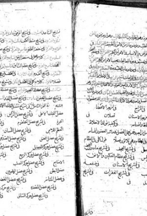 مخطوطة - قانون الطب لنصر الدين الماهانى